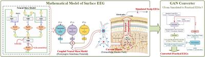 Realizing the Application of EEG Modeling in BCI Classification: Based on a Conditional GAN Converter